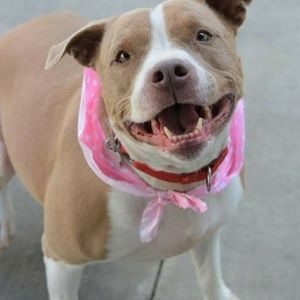 Meet your Posher, Cynthia